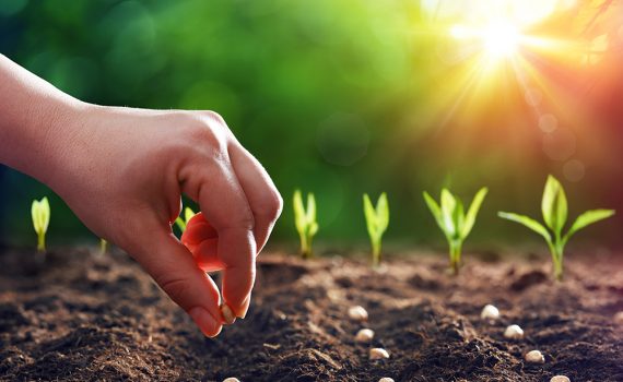 Conservación ambiental